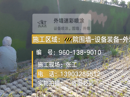 天水外墙迷彩漆材料价约 45-60 元 /k